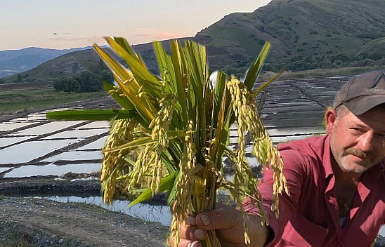 Sadece Palu'da 5 Ay Sürecek Emeğin Yolcuğu Başladı