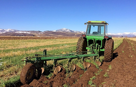 Şehirden köye dönüşte yeni dönem: Hükümetten dev destek paketi geliyor