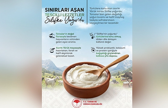 Silifke yoğurdu sınırları aştı: Asırlık lezzet tescillendi