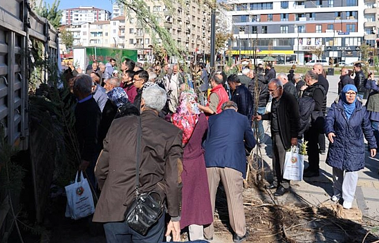 Tam 23 bin adet! Elazığ'da ücretsiz dağıtıldı!