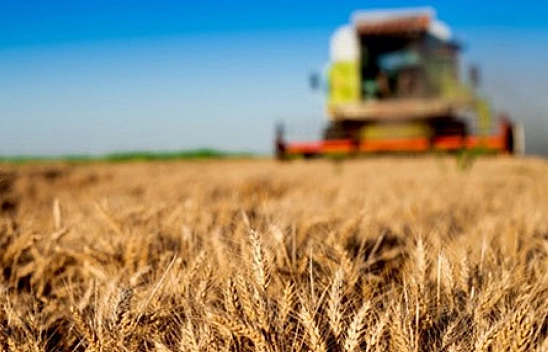 Tarım Bitmemiş(miş)! 