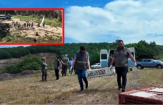 Tarım ve Orman Bakanlığı'ndan 51 bin keklik ve sülün hamlesi