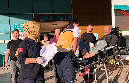 Tomruğa zincir bağlarken dehşeti yaşadı: 6 Parmağı koptu