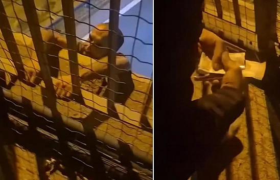 Trafik cezası sonrası intihar girişimi