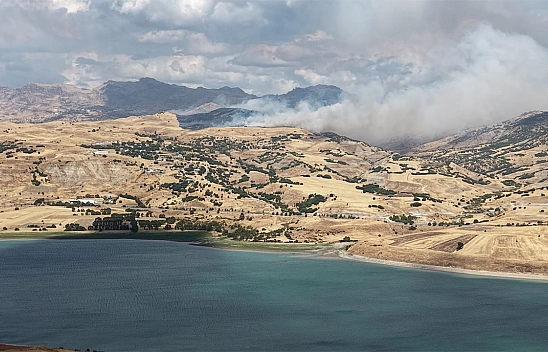 Tunceli'de kırsal alan yangını: Müdahale sürüyor