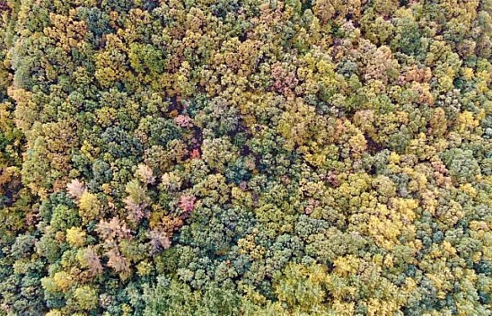 Tunceli sonbaharda görsel şölen sunuyor