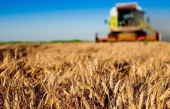 Türkiye tarımsal hasılada Avrupa'da zirvede