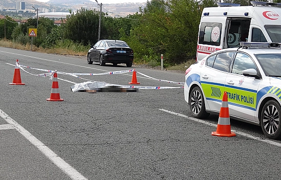 Tuvalet ihtiyacı için aracından indi, canından oldu