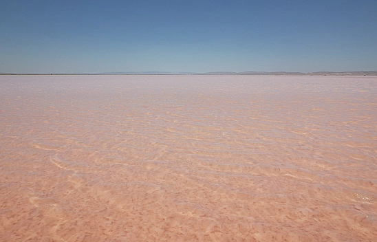 Tuz Gölü, Pembe Göle Döndü