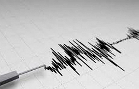 Van'da Korkutan Deprem!