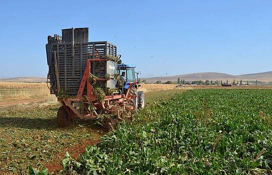 Verimliliğiyle Çiftçinin Yüzünü Güldürdü