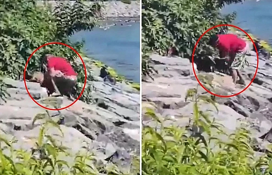 Vicdanları yaralayan görüntü: Köpeğe şiddet anı kaydedildi