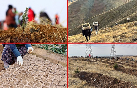 Yeşil bir Elazığ için ortak seferberlik