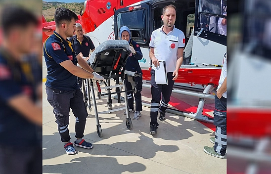 Yılanın Soktuğu Çocuk, Elazığ'da Tedavi Altına Alındı