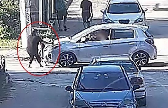 Yürek yakan kazada yeni karar: Serbest bırakılmıştı, tutuklandı