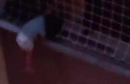 Yürekleri ağza getiren an: Balkon filesinde asılı kalan çocuğunu annesi dakikalarca tuttu