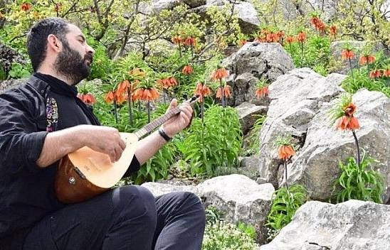 Palu ve Arıcak arasındaki alanda açan ters laleler görsel şölen oluşturdu