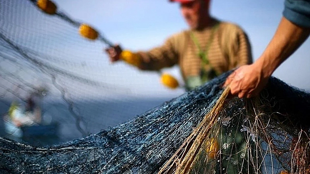 1 Eylül itibarıyla balık sezonu açılıyor