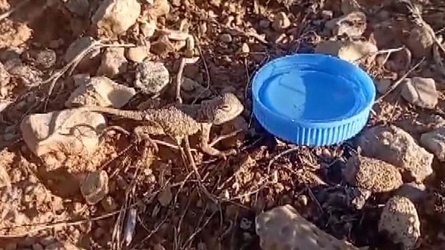 Bir Kapak Serinlik...