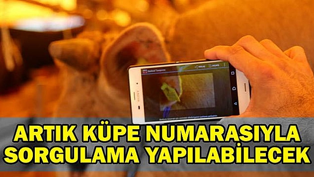 KURBANLIKLARDA MOBİL SORGULAMA UYGULAMASI
