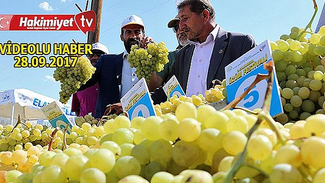 Üzümler yarıştı, birinciler çapa makinesi kazandı