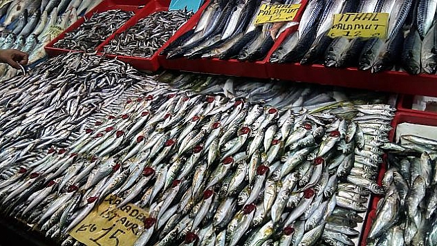 Balık Alırken Bunlara Dikkat Edin!