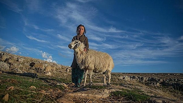 SÜRÜ PEŞİNDE GEÇEN HAYATLAR