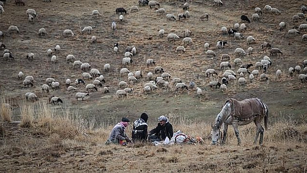 DOĞU'DA YAYLA HASRETİ SONA ERİYOR
