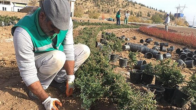 ESTETİĞİN YEŞİL ALANA YANSITILMASI