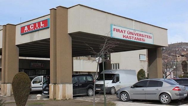 Şehire İnen Kurtlar Yaşlı Karı Kocayı Yaraladı
