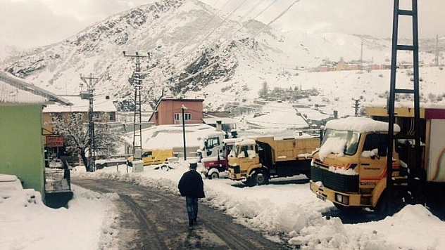KAR YAĞIŞI PÜLÜMÜR,NAZIMİYE VE OVACIK İLÇELERİNDE HAYATI FELÇ ETTİ