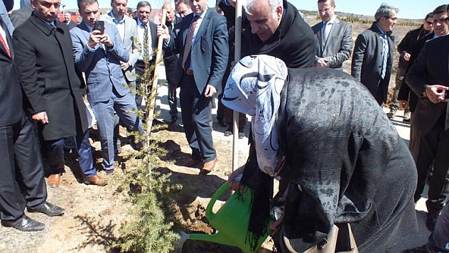 249 Şehit İçin 249 Fidan Dikildi 