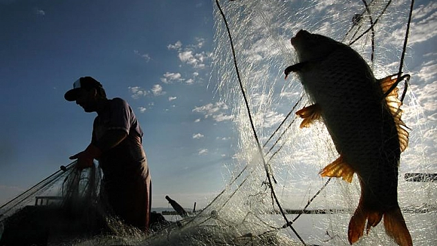 AV YASAĞI 1 NİSAN'DA BAŞLIYOR