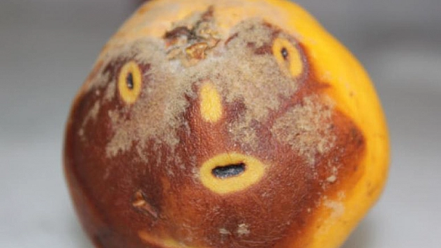 AYVADA OLUŞAN VE İNSAN YÜZÜNÜ ANDIRAN FİGÜR ŞAŞIRTTI