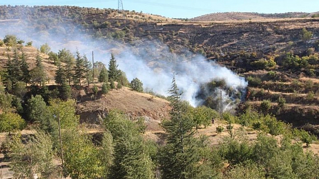 ELAZIĞ'DA ORMAN VE BAHÇE YANGINI