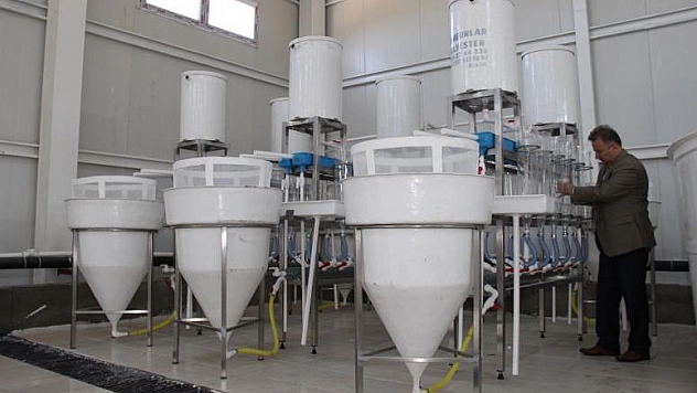 21 İLİN BALIKLARINI ELAZIĞ AR-GE MERKEZİ ÜRETECEK