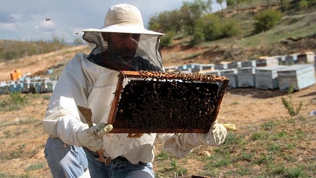 ARILAR BAL MESAİSİNE KOLONİ EKSİĞİ İLE BAŞLADI 