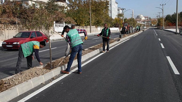 BULVAR VE CADDELER AĞAÇLANDIRILIYOR