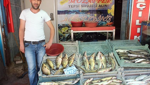 Çanlar Balıkçılık İçin Çalıyor !