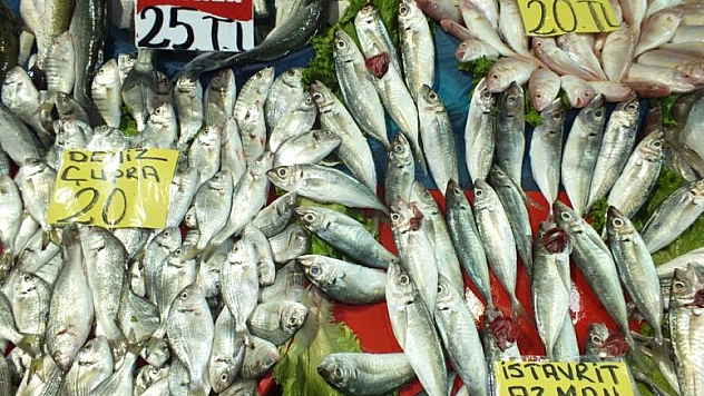 DENİZ BALIKLARI, KAPALI ÇARŞI BALIKÇI TEZGÂHLARINDA