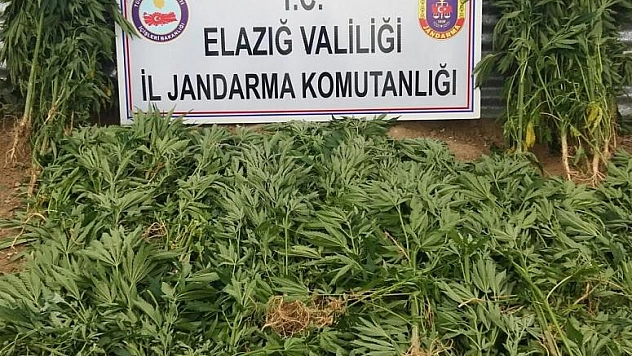 ELAZIĞ'DA UYUŞTURUCUDAN 1 KİŞİ TUTUKLANDI