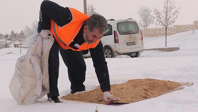 ELAZIĞ'DA KUŞLAR İÇİN 1 TON YEM BIRAKILDI