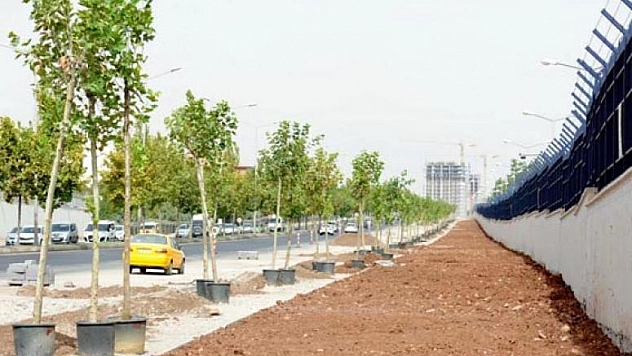 ELAZIĞ CADDESİN'DE BİR KADIN SIRTINDAN VURULARAK, ÖLDÜRÜLDÜ!
