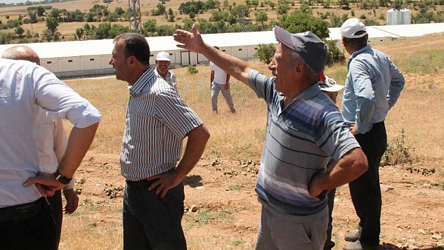 ELAZIĞ'DA TAVUK ÇİFTLİĞİ EYLEMİ