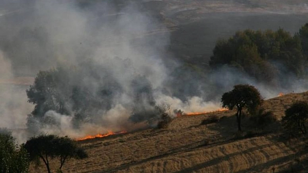 DİYARBAKIR-ELAZIĞ KARAYOLUNDA YANGIN ÇIKTI