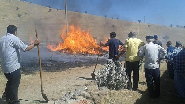Güney Köyü'nde Korkutan Yangın 