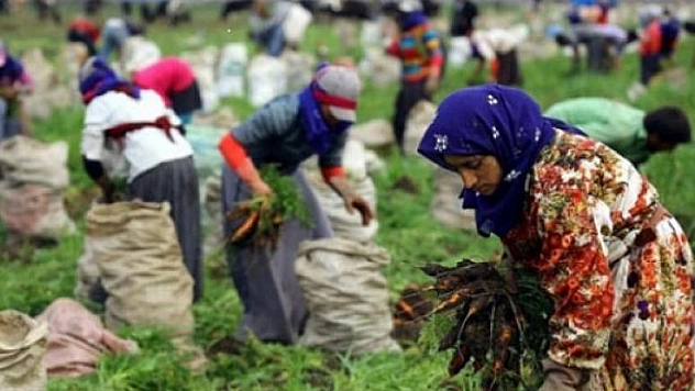 Her Yüz Kişiden 12'si İşsiz