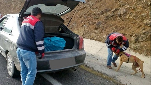 7 KİLO ESRARLA YAKALANAN 2 ŞÜPHELİ TUTUKLANDI