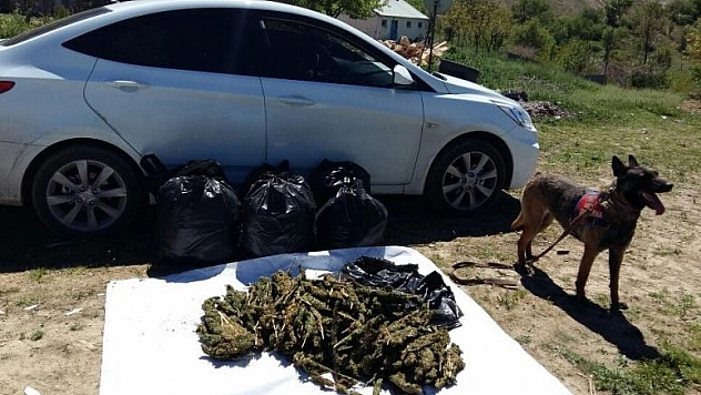 JANDARMADAN KAÇAN ARAÇTA 50 KİLO ESRAR ELE GEÇİRİLDİ