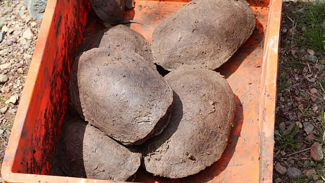 KAPLUMBAĞALAR NAKLEDİLDİ ÇALIŞMA ÖYLE BAŞLADI